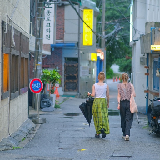 피드 이미지