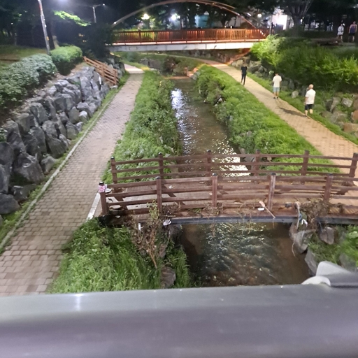 피드 이미지