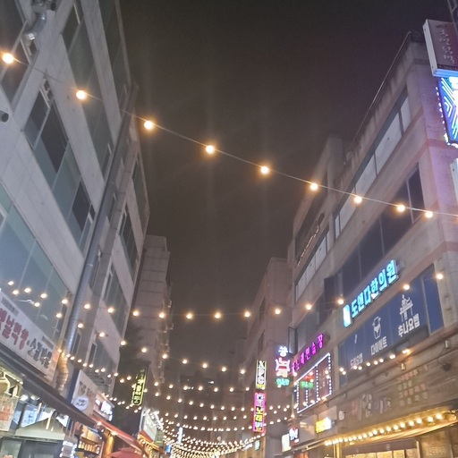피드 이미지