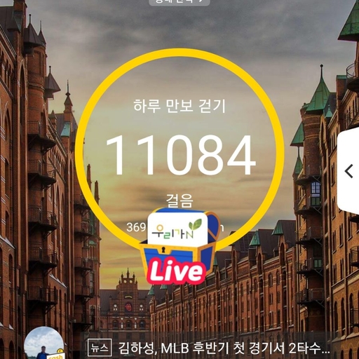 피드 이미지