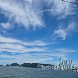 피드에 업로드 된 이미지