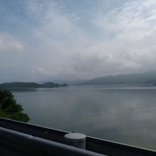 모임 대표 이미지