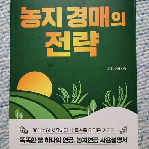 피드 이미지