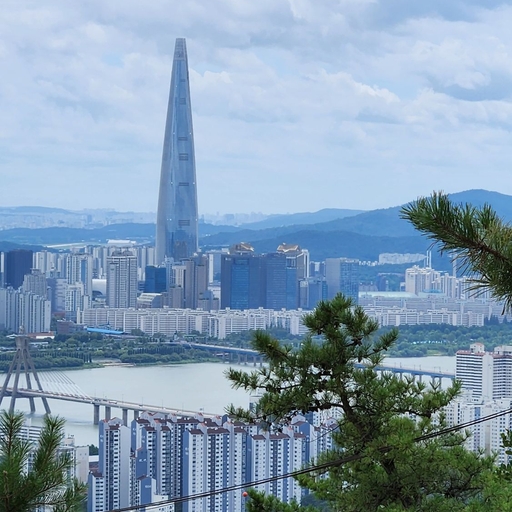 피드 이미지