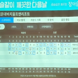 피드에 업로드 된 이미지
