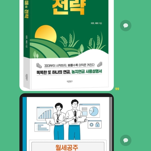 피드 이미지