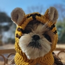 멤버 프로필