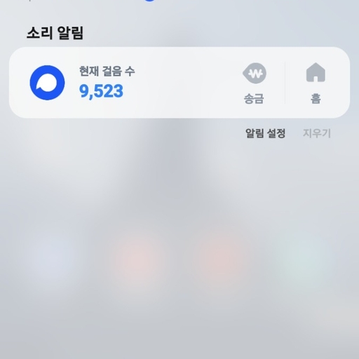 피드 이미지