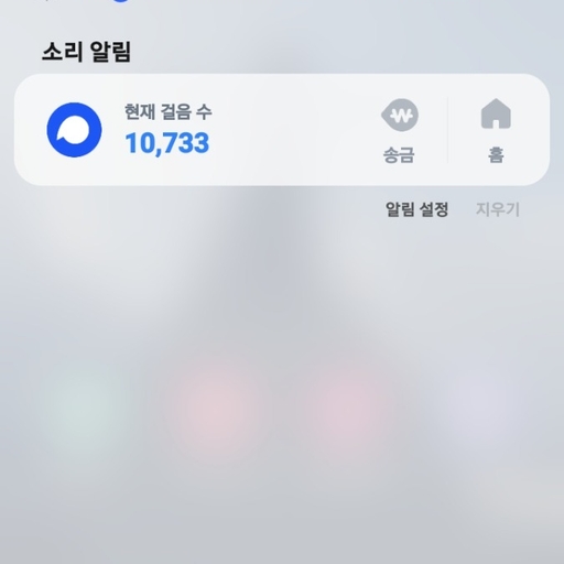 피드 이미지