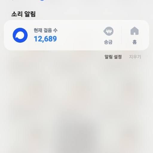 피드 이미지