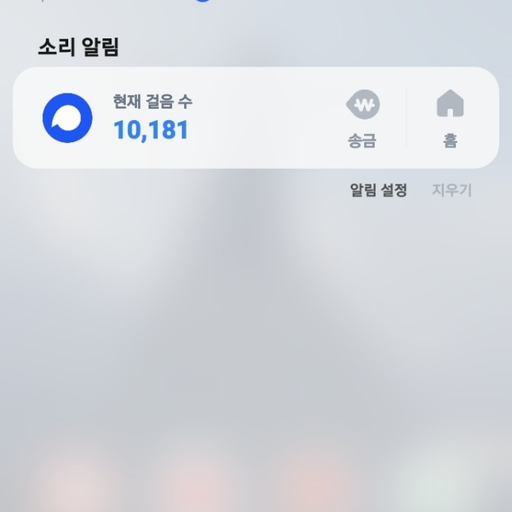 피드 이미지