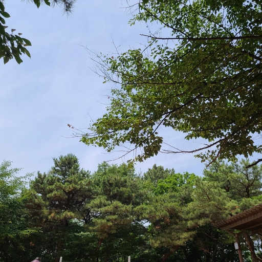 피드 이미지