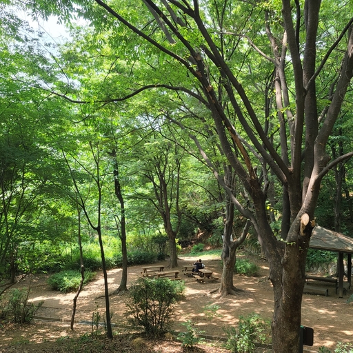 피드 이미지