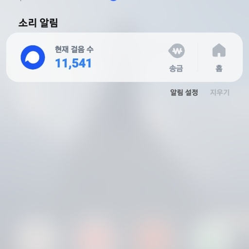 피드 이미지