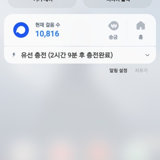 피드 이미지