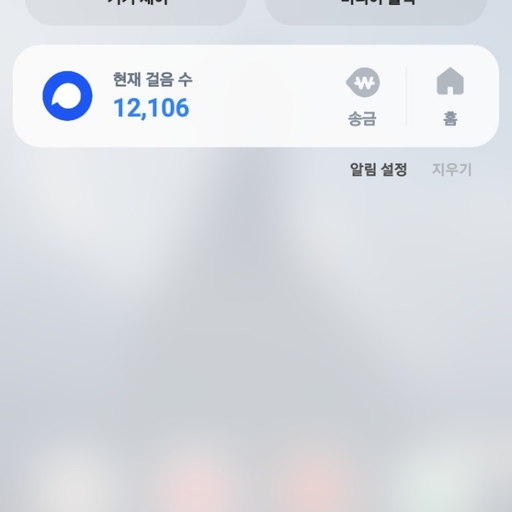 피드 이미지