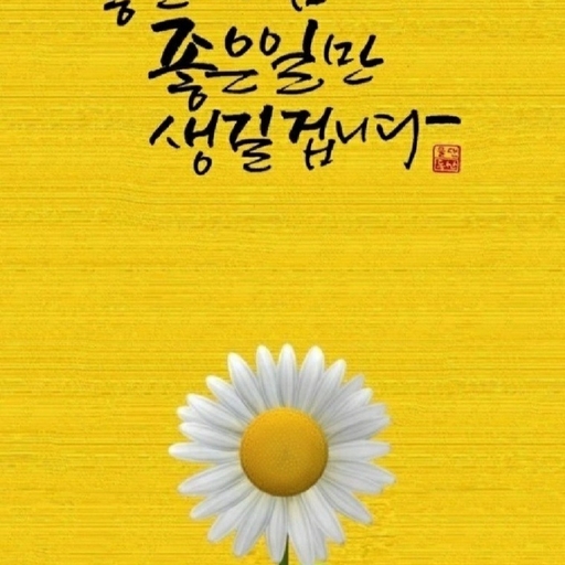 피드 이미지