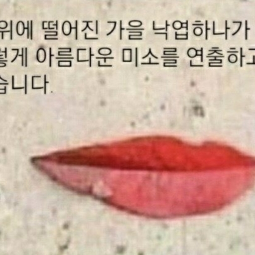 피드 이미지