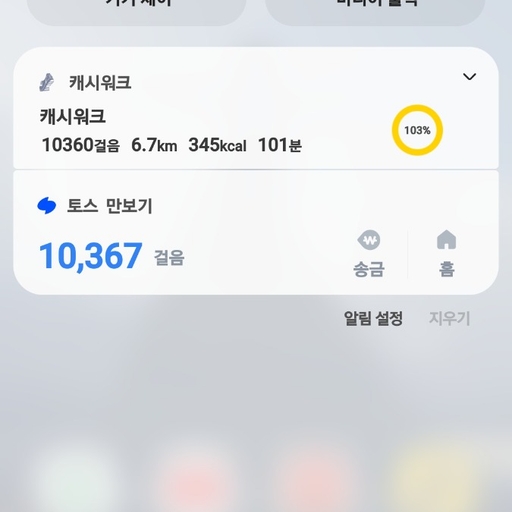 피드 이미지