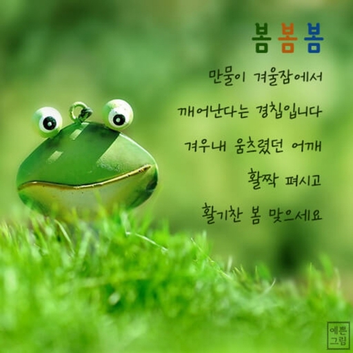 피드 이미지