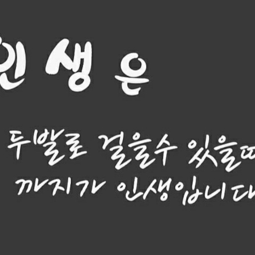 피드 이미지