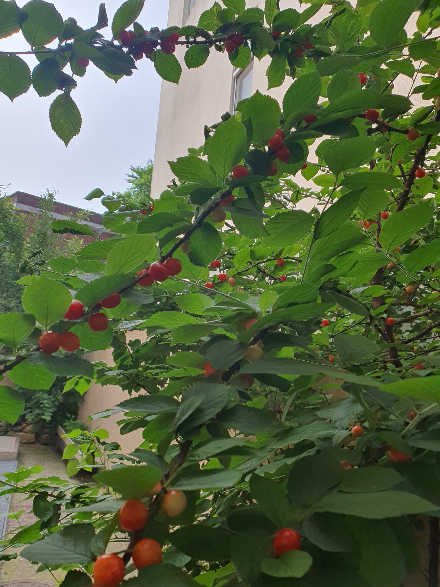 멤버 프로필