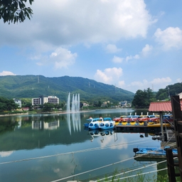 피드에 업로드 된 이미지