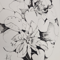 피드에 업로드 된 이미지