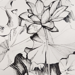 피드에 업로드 된 이미지