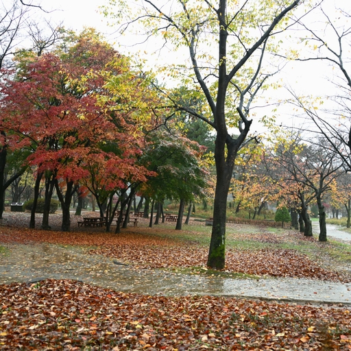 피드 이미지