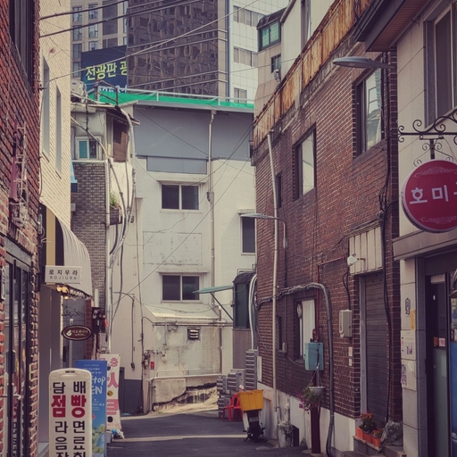 피드 이미지