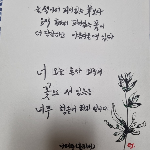 피드 이미지