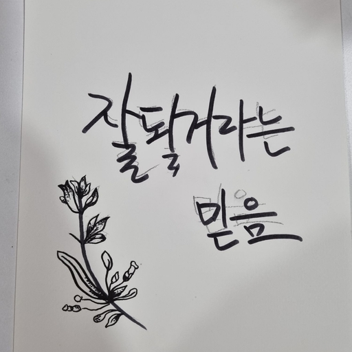 피드 이미지