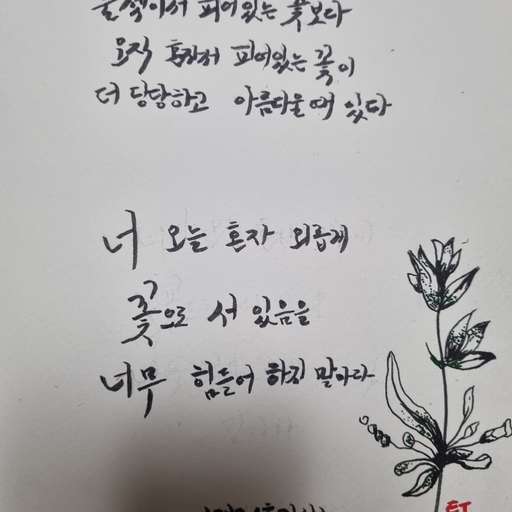 피드 이미지