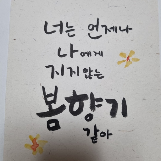 피드 이미지