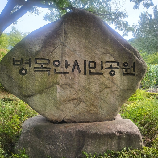 피드 이미지