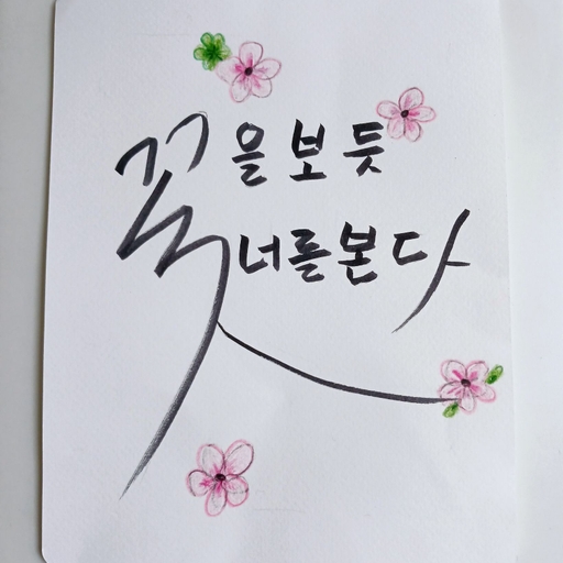 피드 이미지