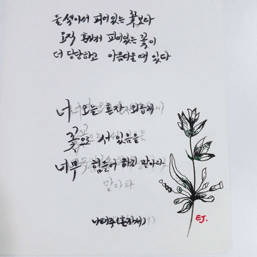 피드 이미지
