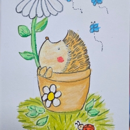 피드에 업로드 된 이미지