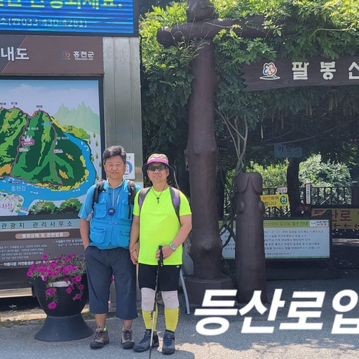 피드 이미지