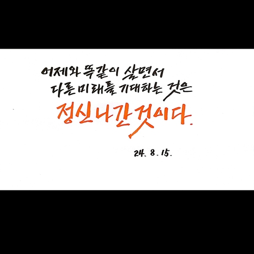피드 이미지