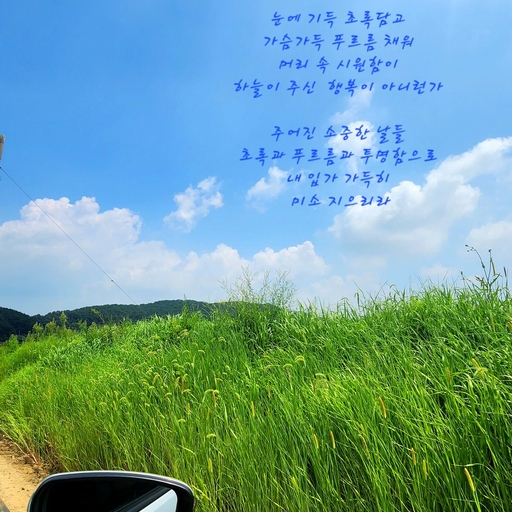 피드 이미지