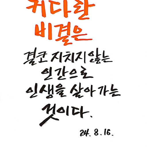 피드 이미지
