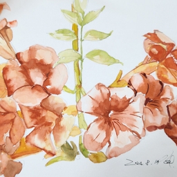 피드에 업로드 된 이미지