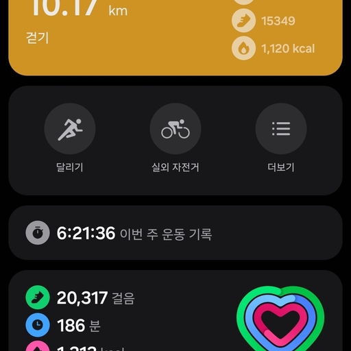 피드 이미지