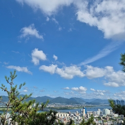 피드에 업로드 된 이미지