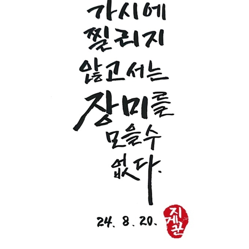 피드 이미지