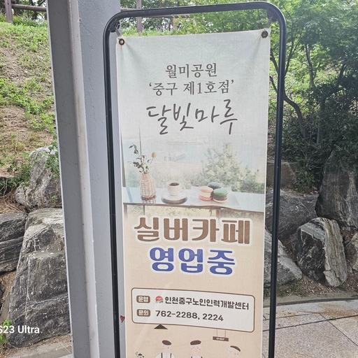 피드 이미지
