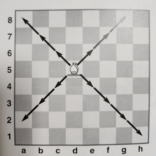 피드 이미지