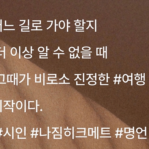 피드 이미지